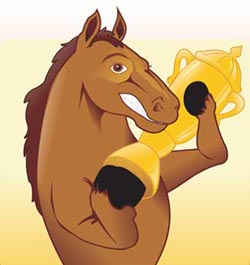Equestrian Professional