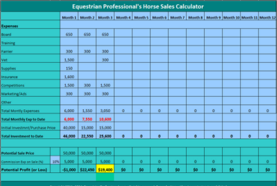 Horse Sales Calculator