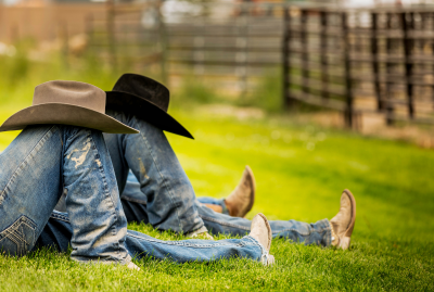 Policies That Protect - How to Create Internal Controls for Your Horse Business