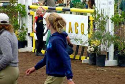 Why Social Media Makes Sponsorships More Valuable Than Ever for Equestrian Professionals and Brands