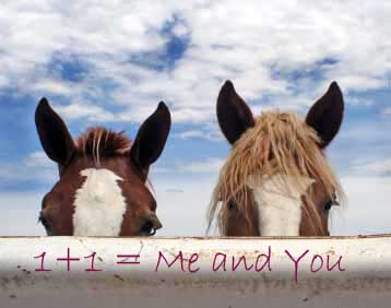 Understanding Accounting Terms for the Horse Professional - Cash or Accural