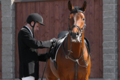 Lessons Learned Outside the Arena