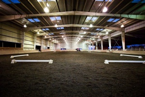 Equestrian Professional Member Spotlight - Gina Duran of Topline Training