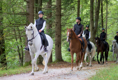 Webinar&##x3a; Riding Instructor Skill Builder