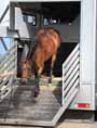 10 Tips for Emergency Preparedness For Horse Professionals