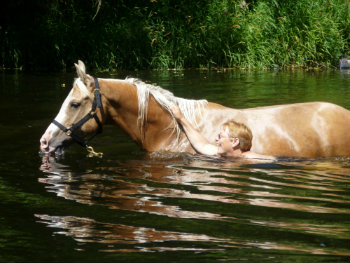 Equestrian Professional Member Spotlight - Sue Norman of Nehalem Valley Arabians