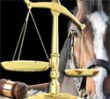 Webinar Replay&##x3a; What Every Horse Business Owner Needs to Know About Equine Law