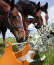 Beware the FAKO Score When Finding the Right Horse Business Loan