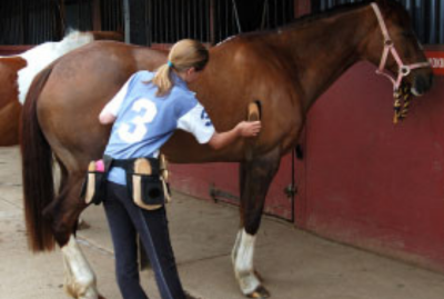 Horse Business Q and A&##x3a; Transitionsing from a One-Person Show to Having Employees