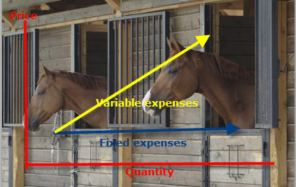 The Best Way to Calculate Horse Costs Part II