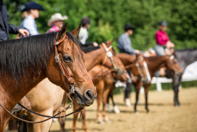 Webinar&##x3a; Coaching Riders from the Inside Out - How Focus, Inspiration and Community Can Empower You