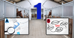 The Top 4 Horse Business Financial Reports - Part 1 The Profit and Loss Statement