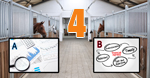 The Top 4 Horse Business Financial Reports Part 4&##x3a; Cash Flow Analysis