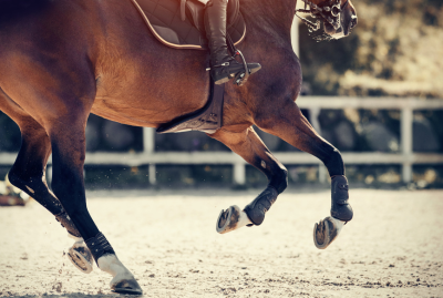 Webinar&##x3a; Integrating Equestrian Sports Psychology Techniques Into Your Teaching Program
