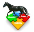 Webinar&##x3a; Smart Insurance Options for Horse Professionals