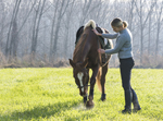 Sharing Risk&##x3a; What Role Do Horse Owners Play&##x3f;