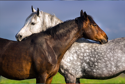 Leadership or Management - When to Use What and Why