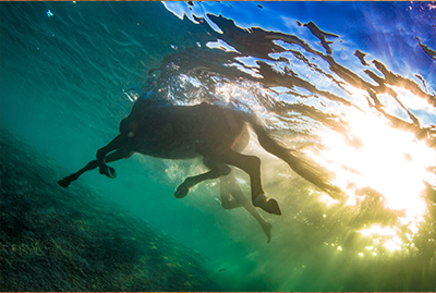 Why Testimonials Are Worth A Deep Dive