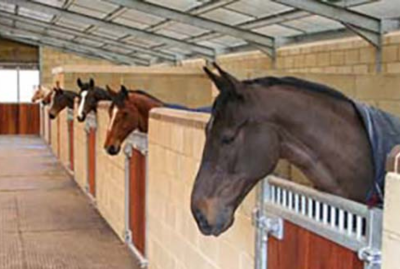 Part 1&##x3a; Barn Design for Healthy, Happy Horses