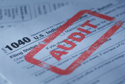 What Does a Horse Business IRS Tax Audit Look Like From the Inside&##x3f;