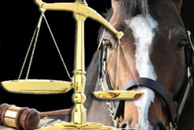 Equine Law Webinar&##x3a; How Equine Professionals Can Avoid Payment Disputes and Handle Them Legally If They Occur