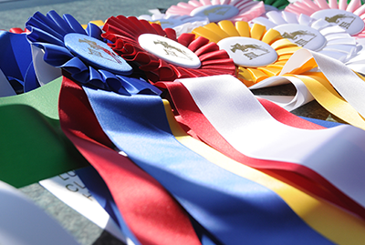 Webinar: Planning and Managing Successful Horse Shows and Events