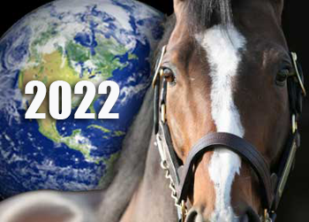 Webinar: Rethinking the Horse Business 2022 - Succeeding in a Changed World
