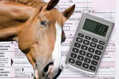 Webinar: Horse Business Taxes - A Dozen Things Equine Professionals Need to Know!