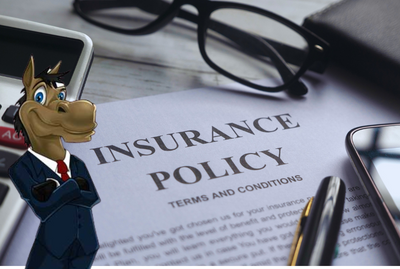 Webinar&##x3a; Horse Business Insurance - Update