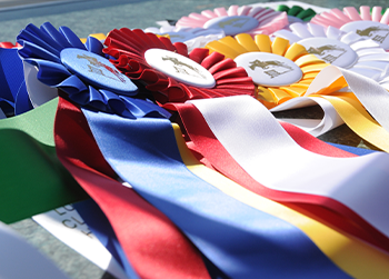 Course and Coach&##x3a; 8 Proven Ways to Create Winning Marketing Results for Your Horse Business - Session 2