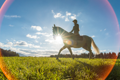 Essential Tips for Making Riding Lesson Packages and Tuition Programs Work For Your Horse Business