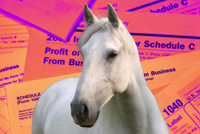 Webinar Replay&##x3a; Horse Business Taxes 2025 Update