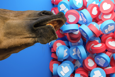 Webinar&##x3a; Smart Social Media for Horse Professionals 2025
