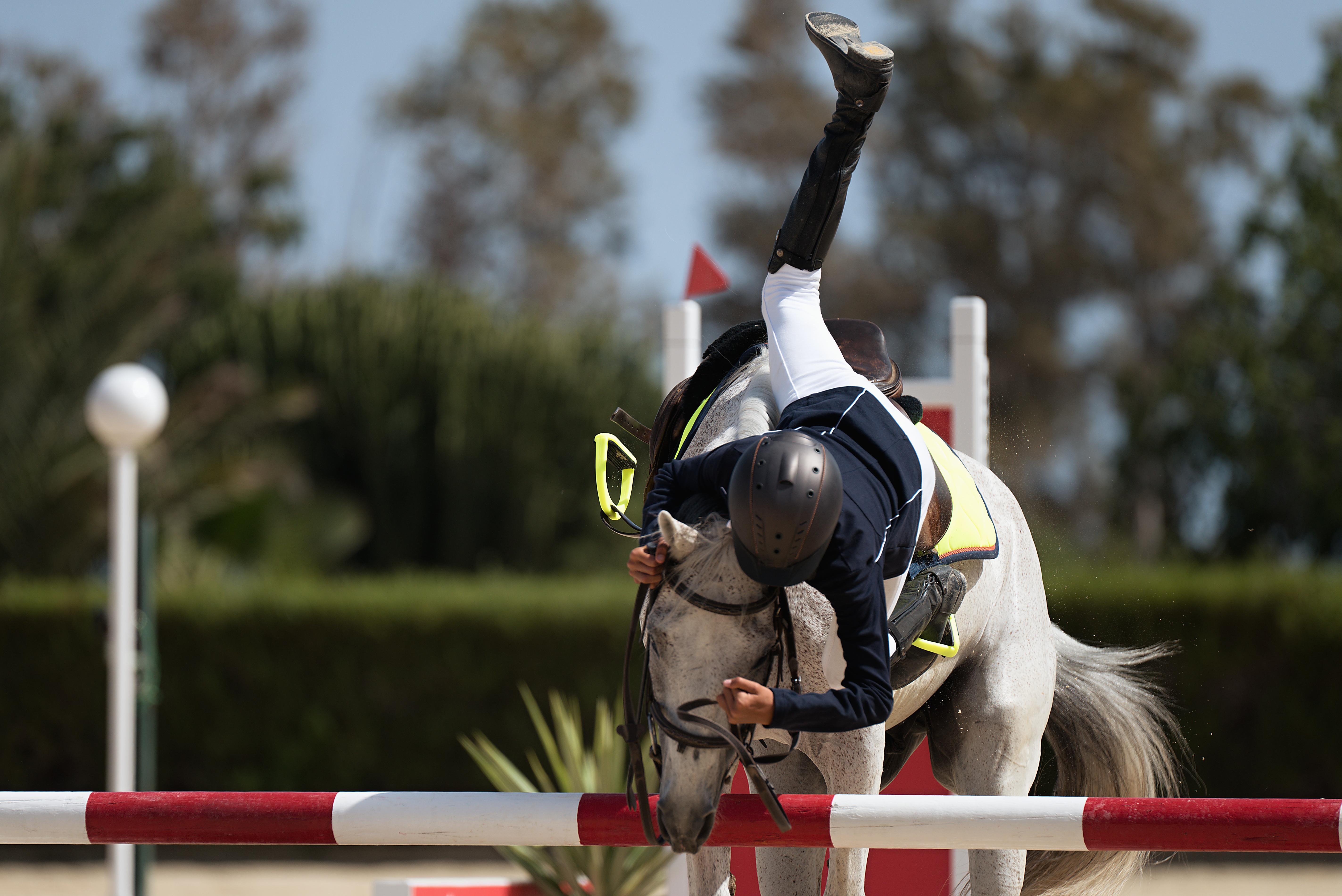 Webinar&##x3a; Equine Liability Laws and Exposures -- What Every Horse Professional Needs to Know in 2026