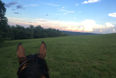 Goal Setting in the New Year – Part II