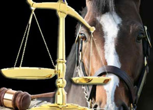 Replay&##x3a; Equine Liability Laws and Exposures -- What Every Horse Professional Needs to Know in 2026