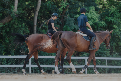 Intent vs. Impact&##x3a; The Relationship Skill That Affects the Health of Your Horse Business
