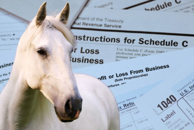 Webinar&##x3a; Horse Business Taxes 2026 Update - What You Need to Know