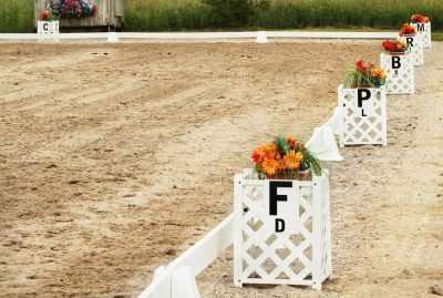 If Nothing Changes, Nothing Changes&##x3a; Why Time Structure Matters in Your Horse Business
