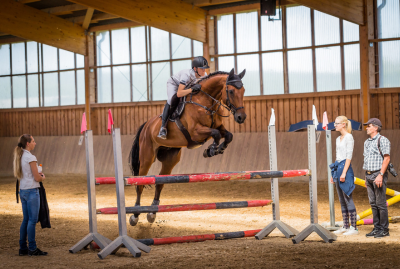 The Difference Between Expertise and Authority in the Horse World
