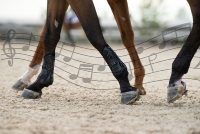 Hit Songs and Horse Businesses - Why Creativity Matters