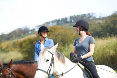 A New Way to Work With Equestrian Professional