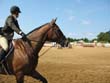 Equestrian Mind Skills - The Fundamentals of Visualization