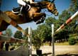 Visualization&##x3a; Before the Horse Show
