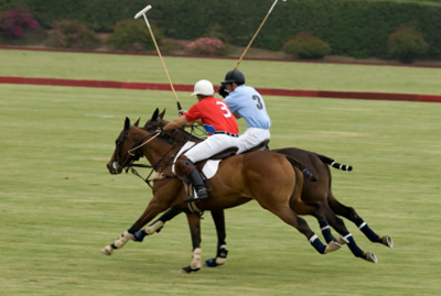 Equestrian Goal Setting Basics