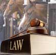 Questions for an Equine Law Practitioner - &##xa;Hiring Workers&##x3f;  Know the Difference Between Independent Contractor and Employee