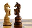 Strengthen Your Focus with Book-Ends