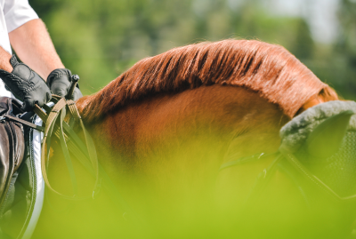 Rider Promotion - Taking A Hold of the Reins That Shape Your Career