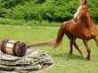 Questions for an Equine Law Practitioner - Finding Low Cost Legal Services in Difficult Financial Times