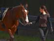 Questions for an Equine Law Practitioner - Practical Ways to Avoid Trial Period Disputes